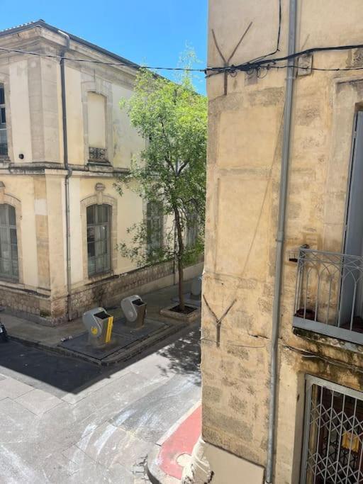 Ferienwohnung Cocon Ecusson Montpellier Exterior foto